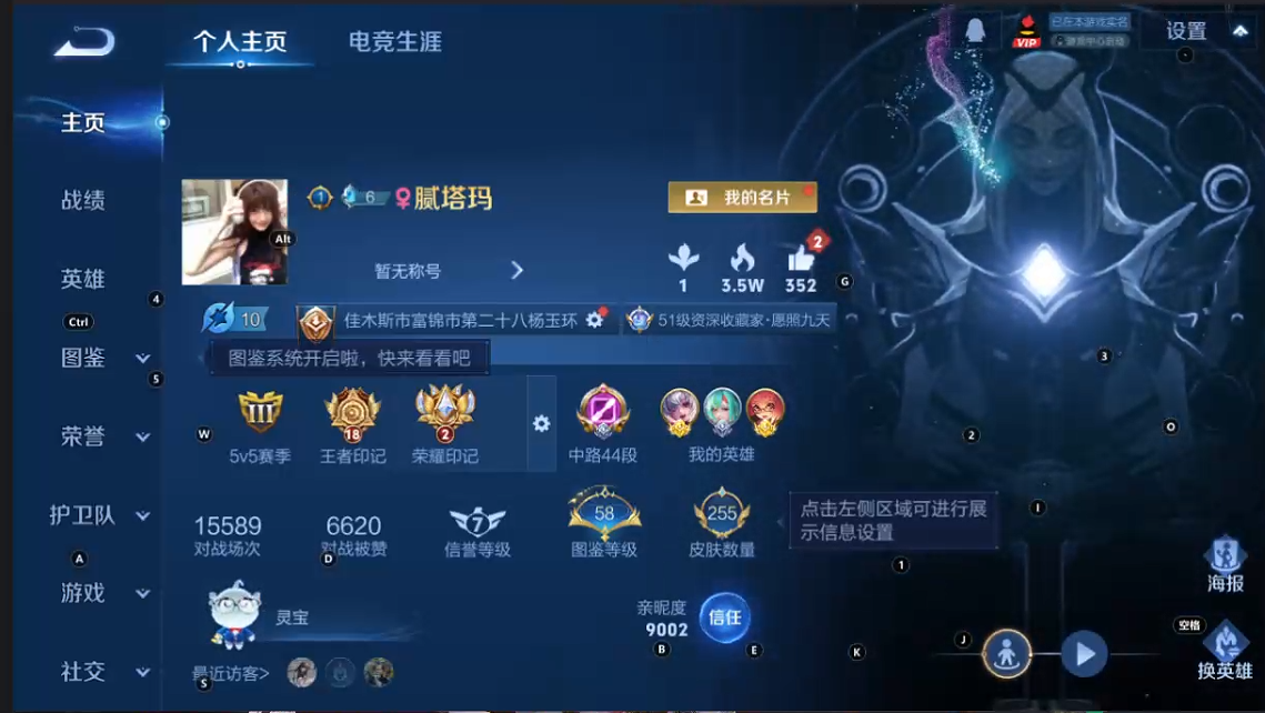 WZQM3375233王者荣耀账号详情图8 WZQM3375233王者荣耀账号详情图8