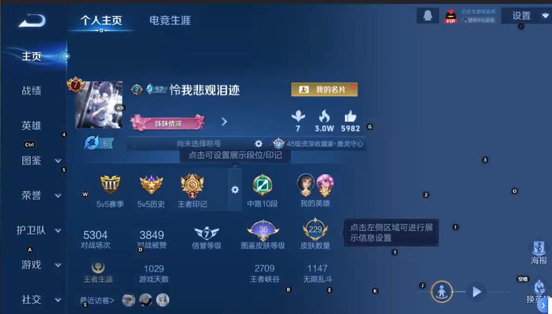 WZQM3370892王者荣耀账号详情图8