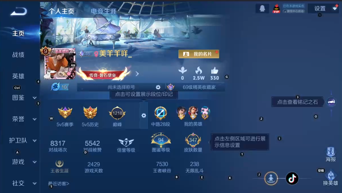 WZQM3375211王者荣耀账号详情图8