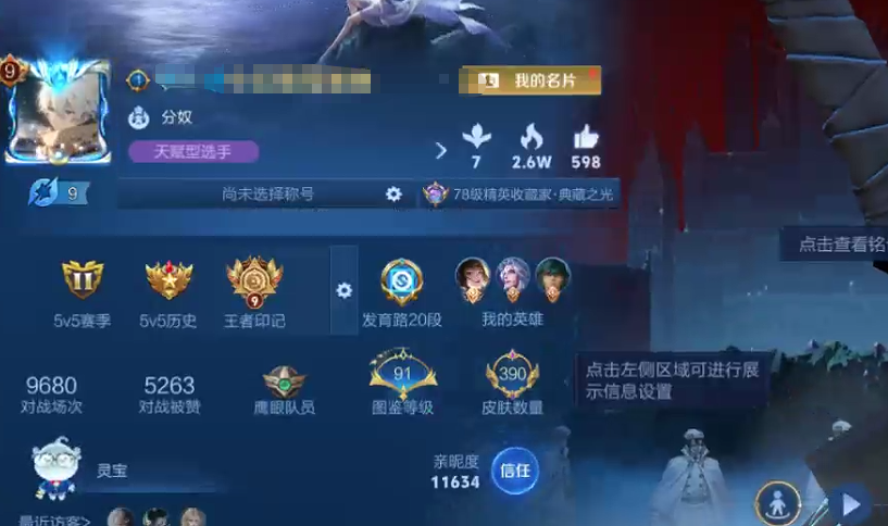 WZQM3371213王者荣耀账号详情图9