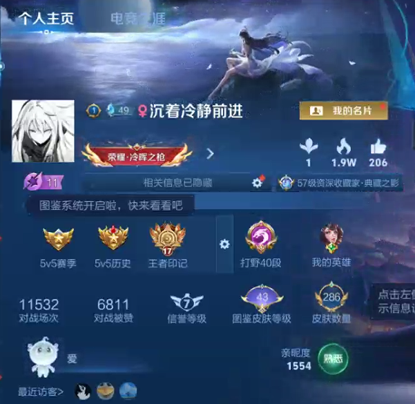 WZQM3371301王者荣耀账号详情图10