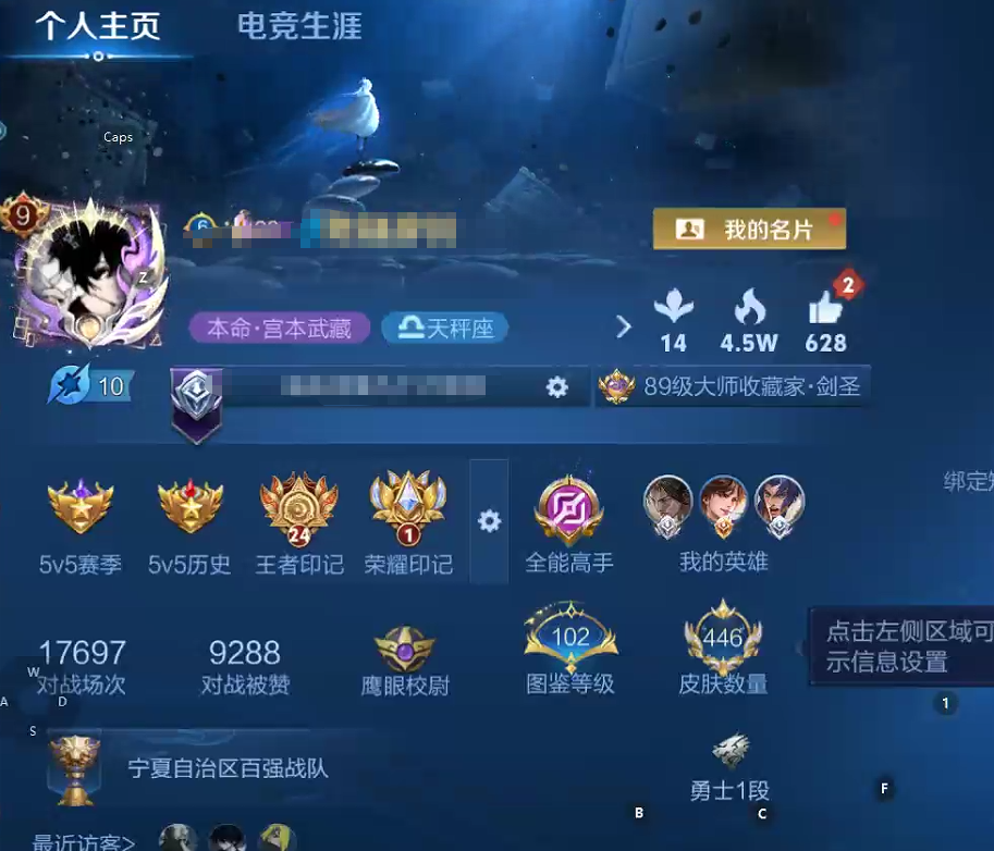 WZQM3375765王者荣耀账号详情图11