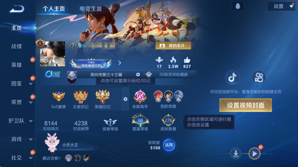 WZQM3365885王者荣耀账号详情图9