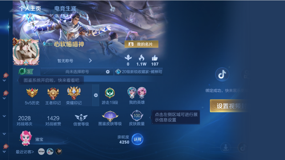 WZQM4312372王者荣耀账号详情图9